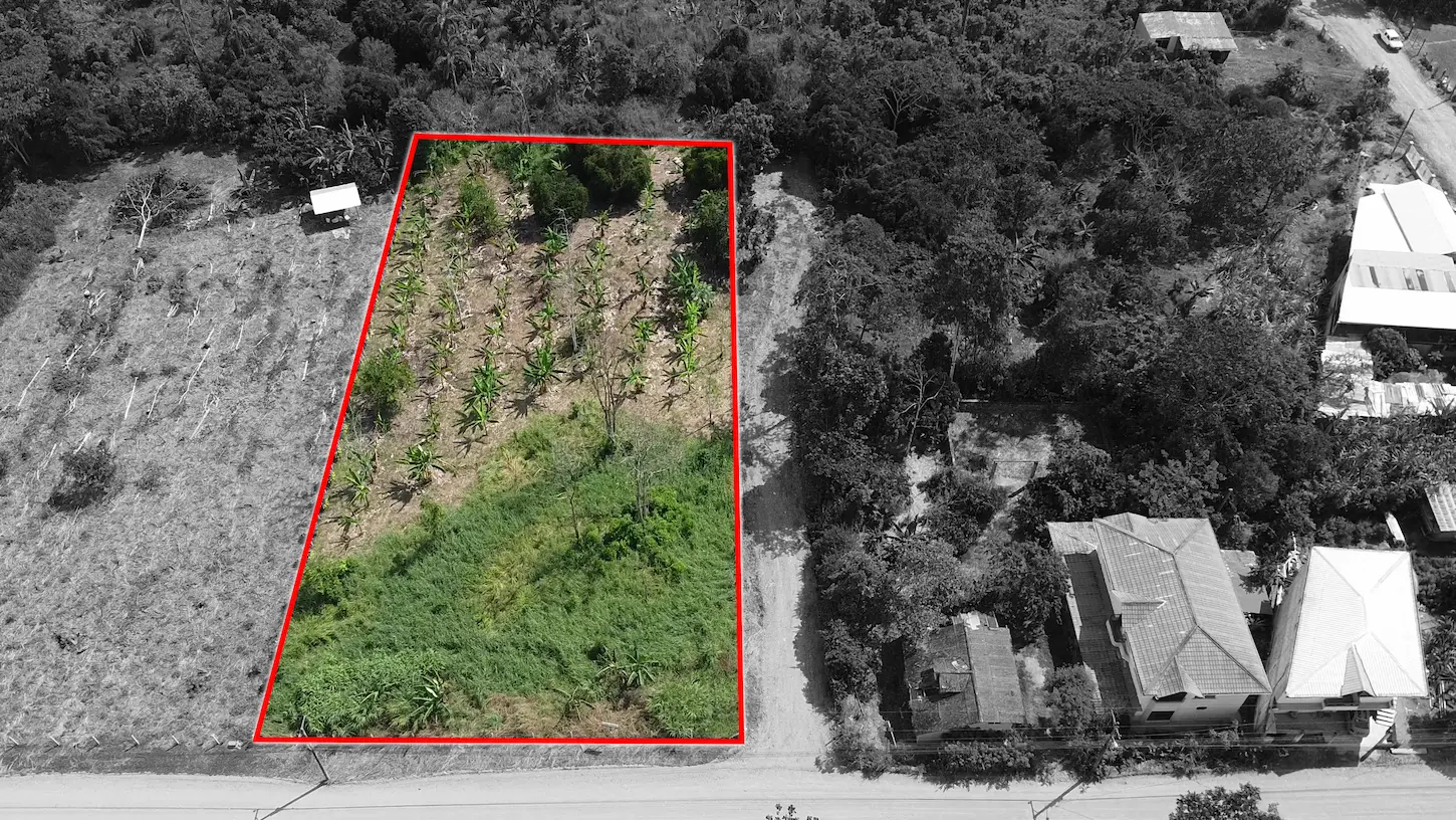 Terreno Plano, Esquinero y Grande - Sevilla